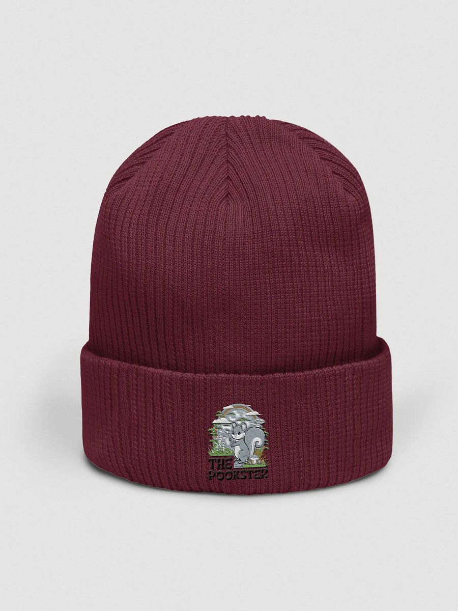 Organic Cotton Embroidered Beanie: Pooky and his wand product image (1)