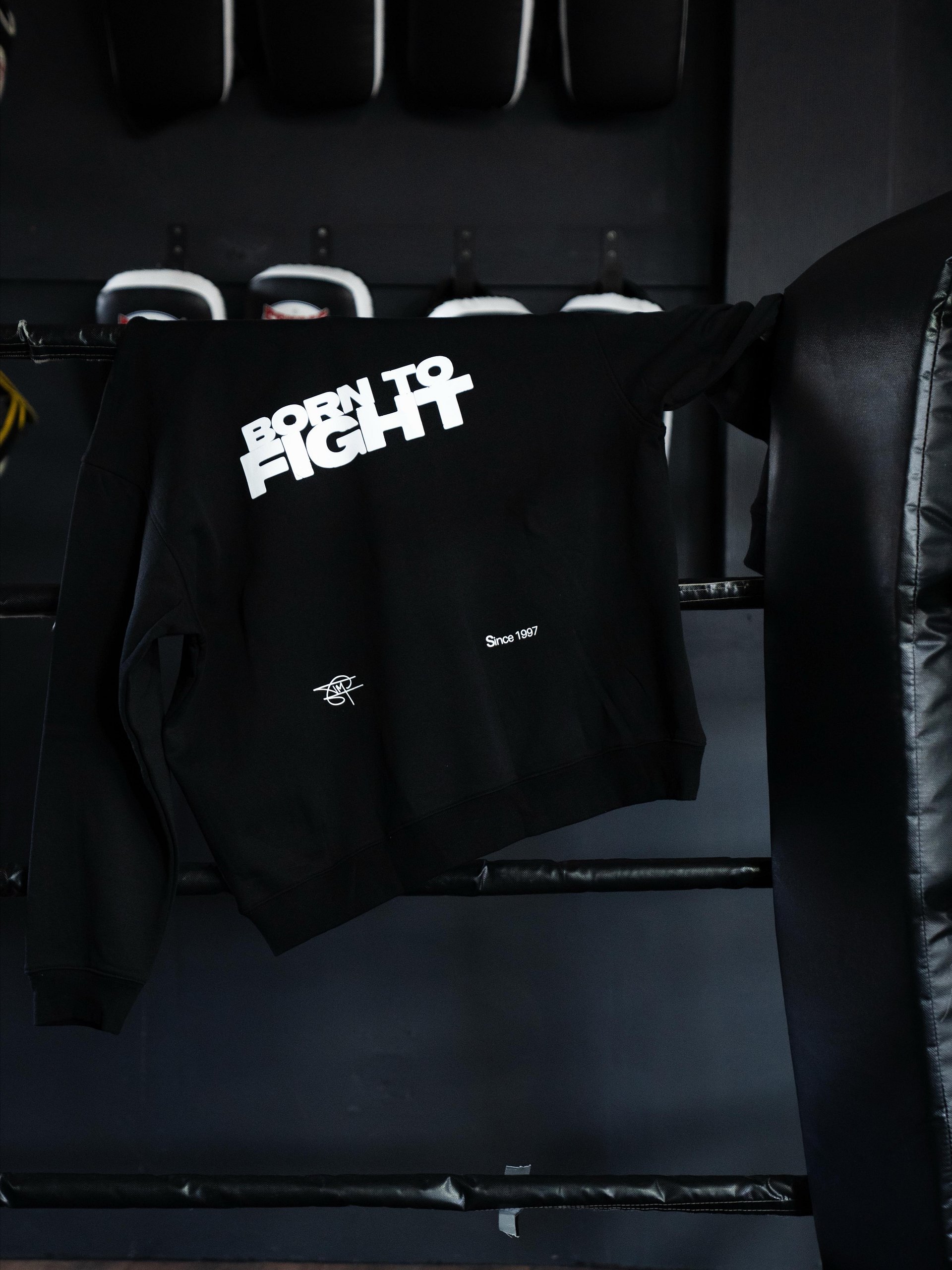 Born to Fight Hoodie product image (5)