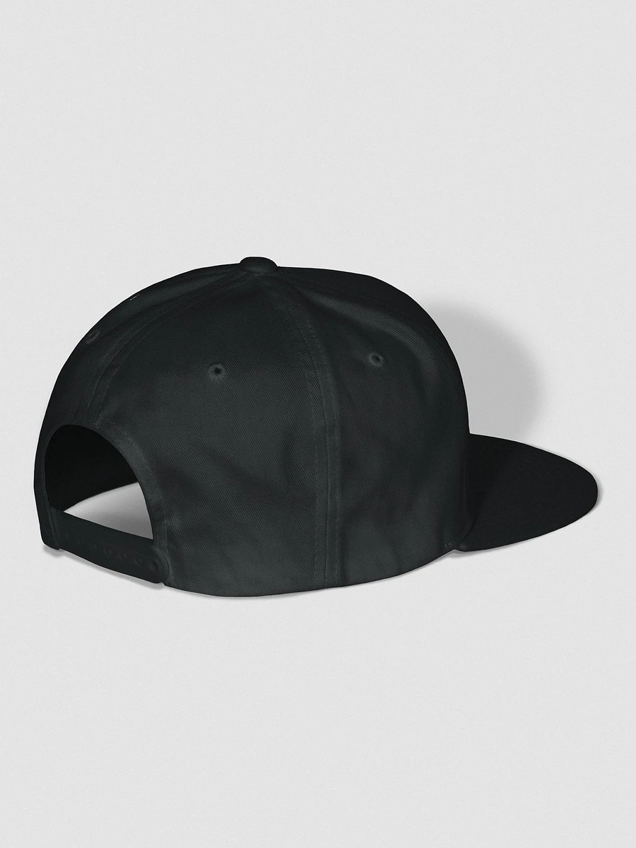 Shadow Bagger Cap Gray on Black (Flat bill) product image (3)