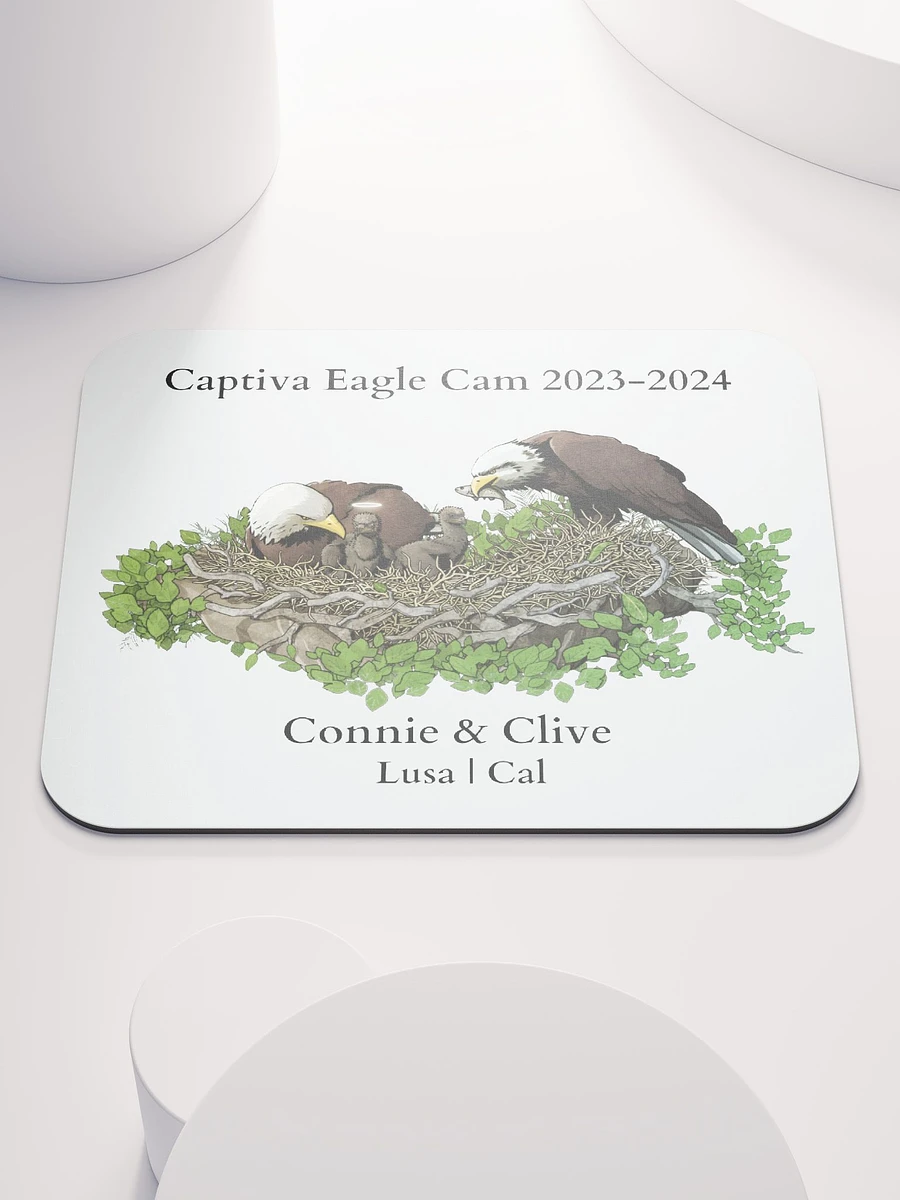 Captiva Eagle Cam 2023-2024 Mouse Pad product image (2)