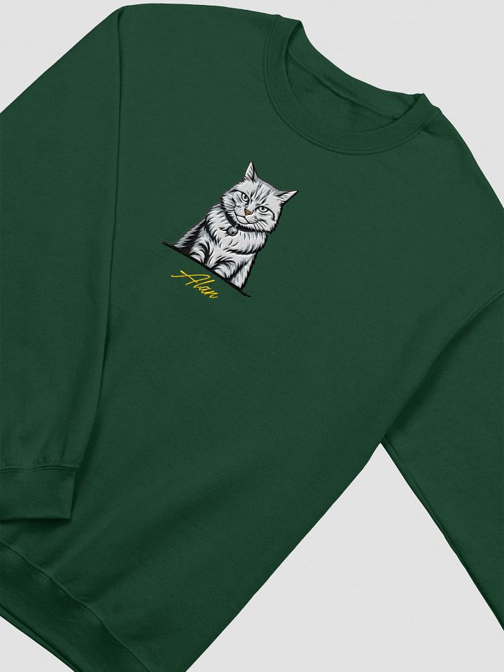 YOUR CAT! / SWEATSHIRT WITH PERSONALIZED NAME / EMBROIDERED product image (1)