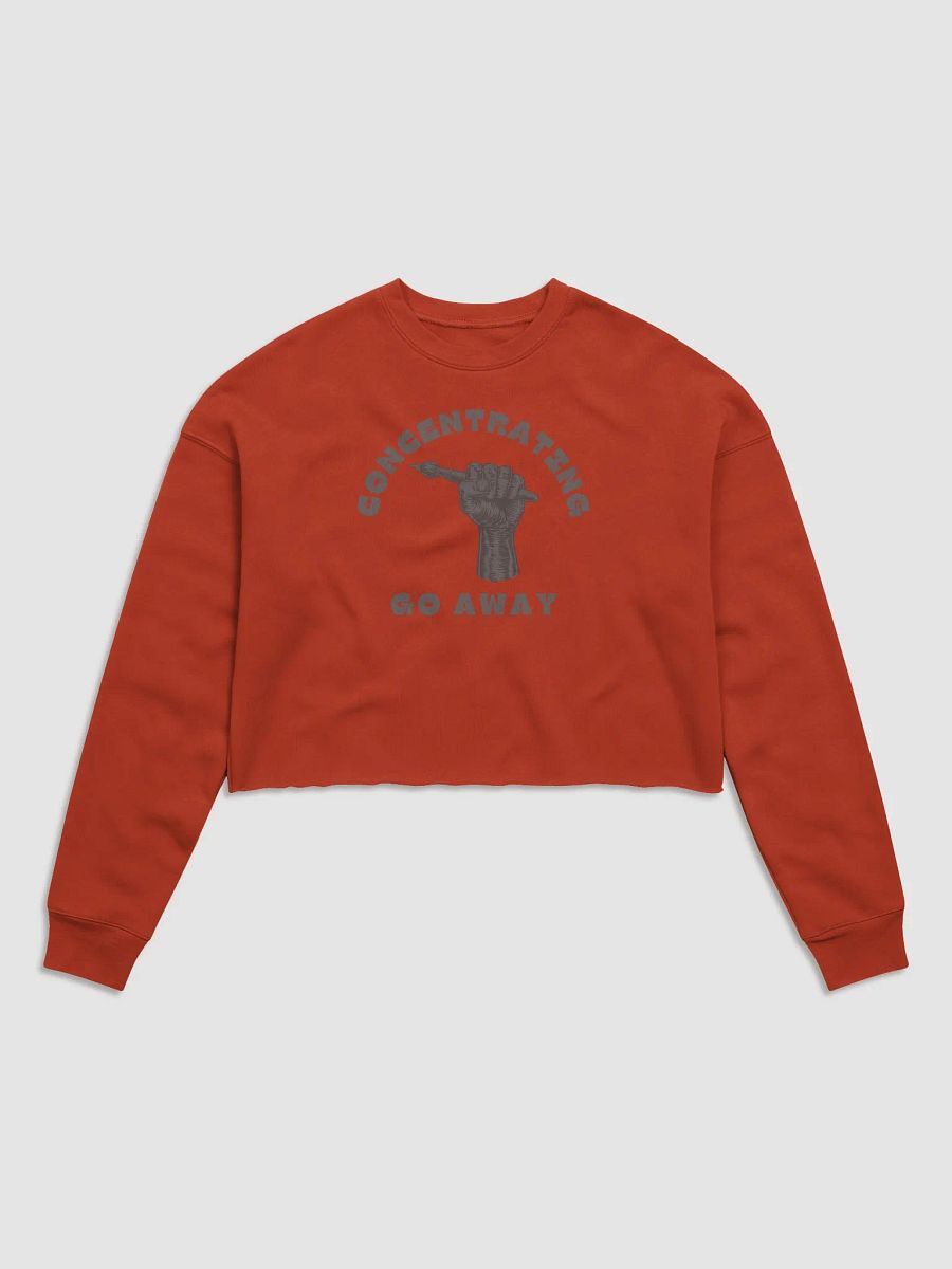 "Concentrating, Go Away" Cropped Sweater product image (1)