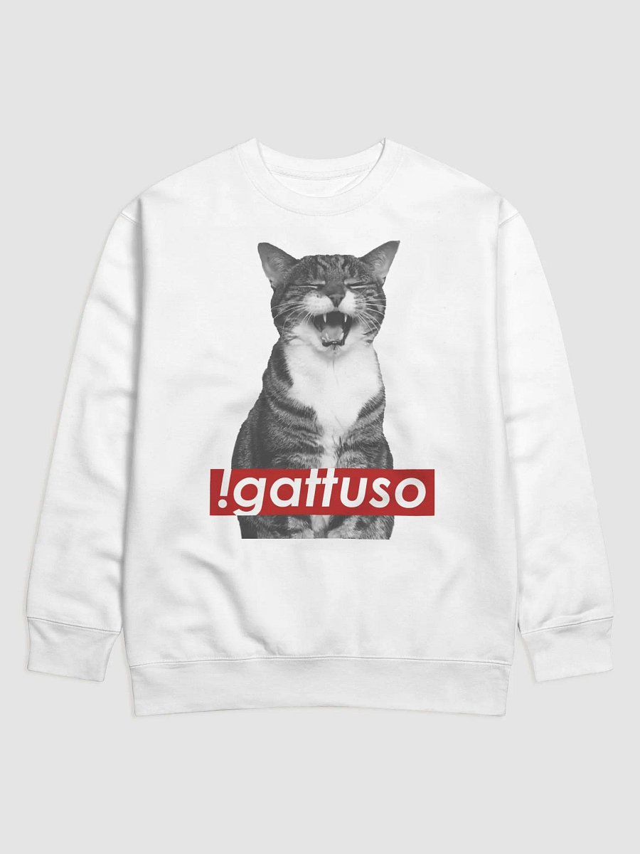 !gattuso Sweater product image (1)