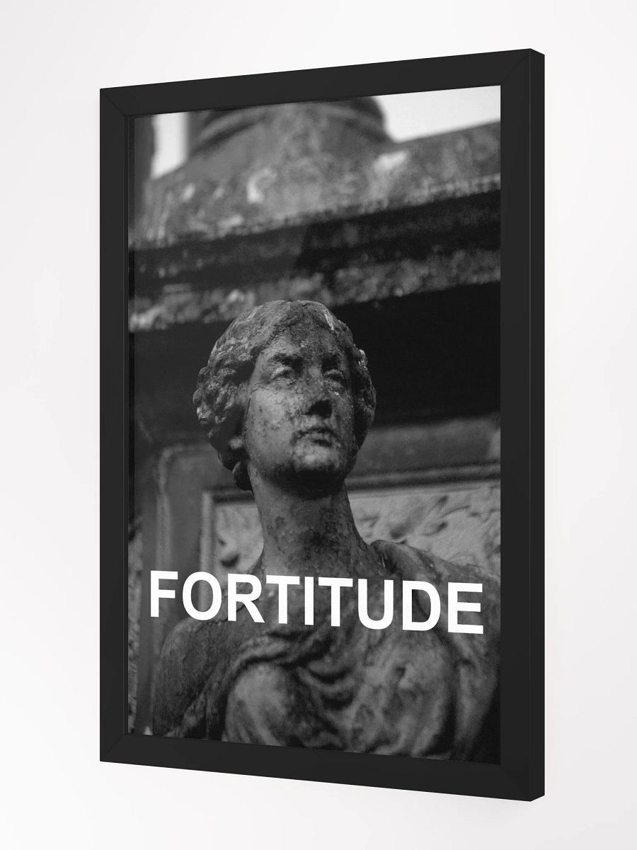 Framed Fortitude Photograph product image (2)