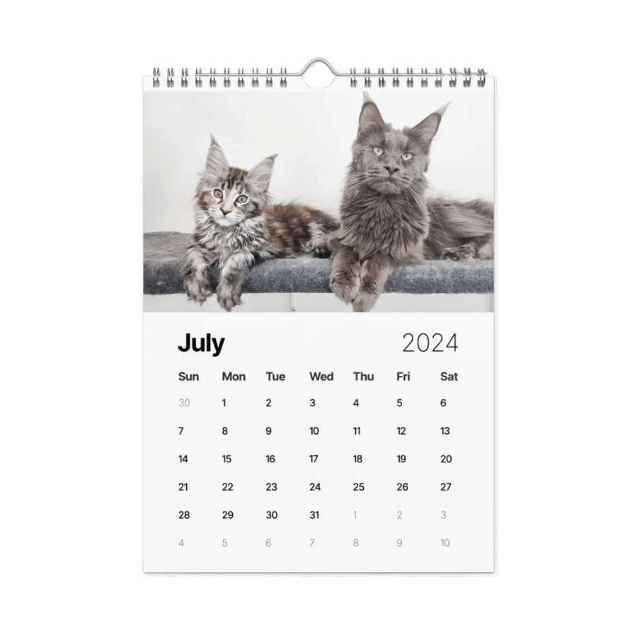 2024 Calendar - Adventures with Maine Coons product image (10)