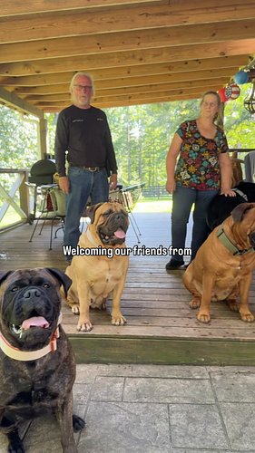 The whole arm full of slobber! Surprise! 🤣

Our friends from Cali stopped by to meet the pack! 

The biggest surprise was siz...
