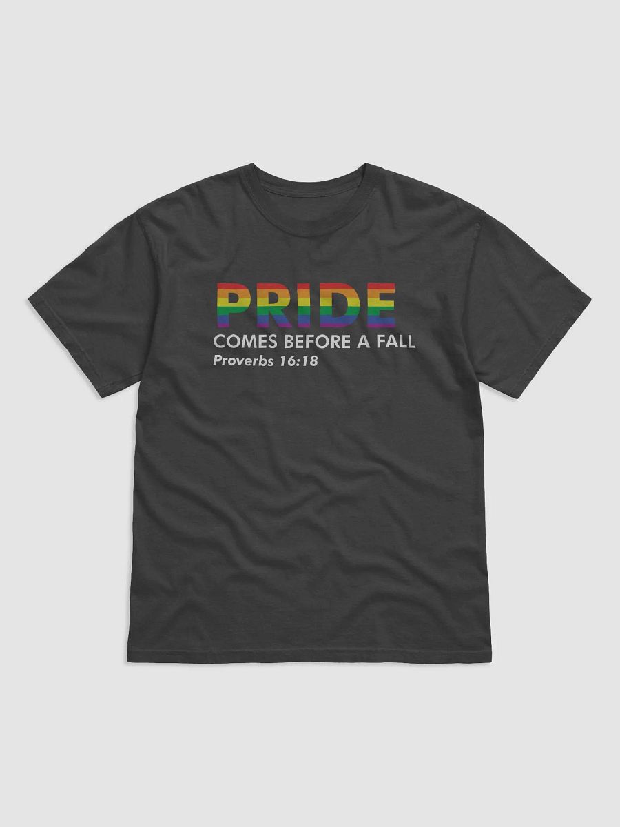 Pride... Before a Fall product image (1)