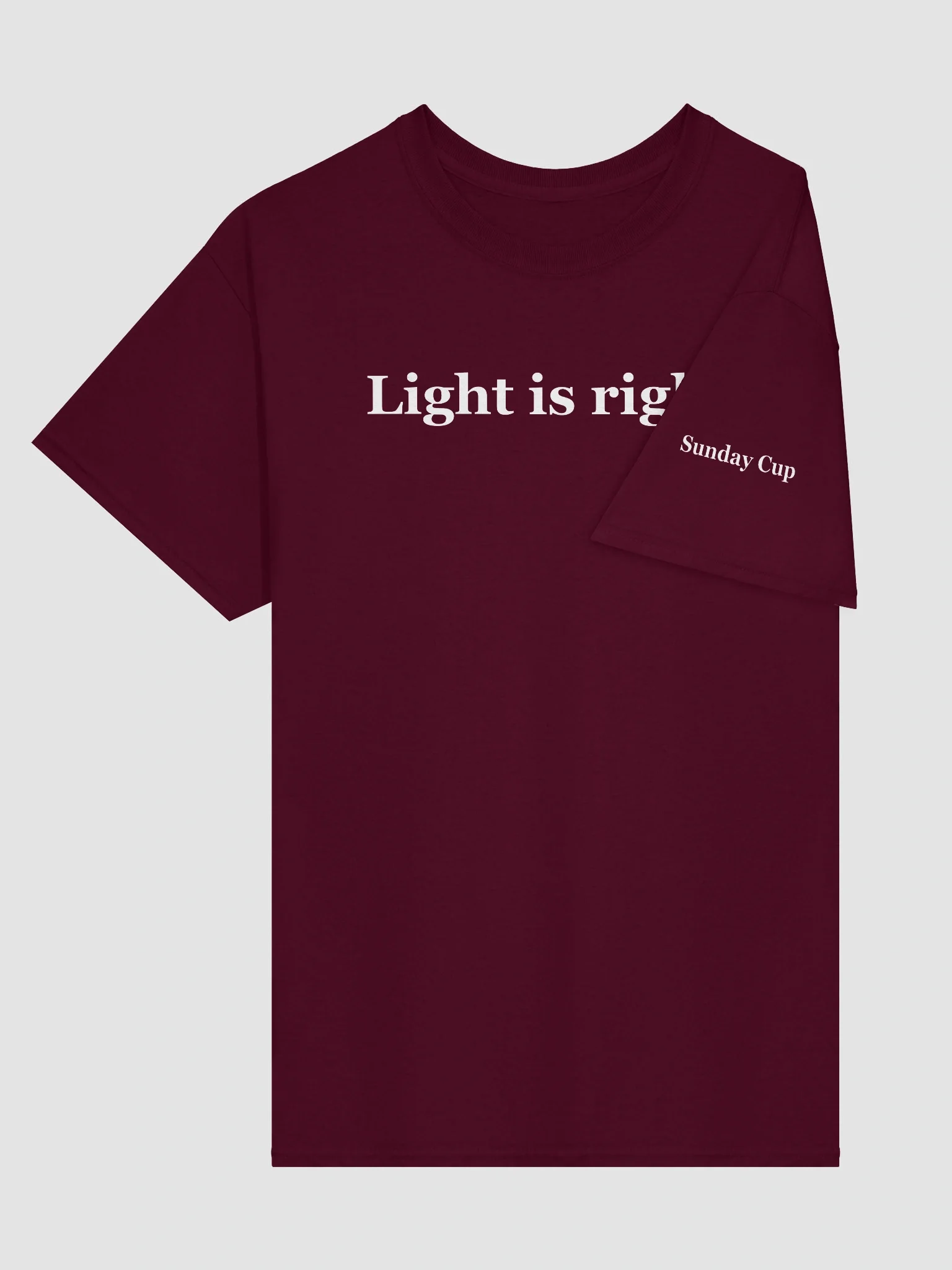 Light is right (dark, gildan tee) product image (19)