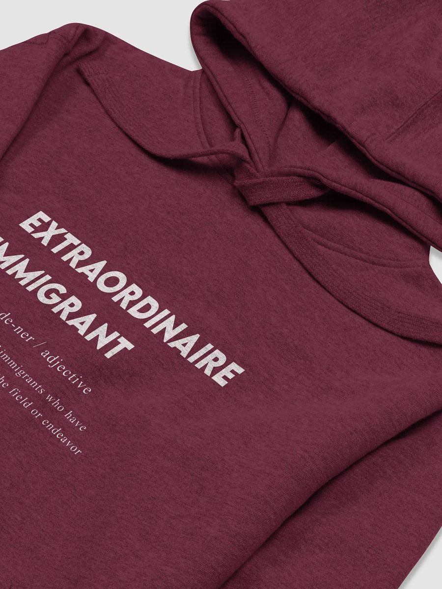 Extraordinaire Immigrant Hoodie – Celebrate Excellence product image (1)