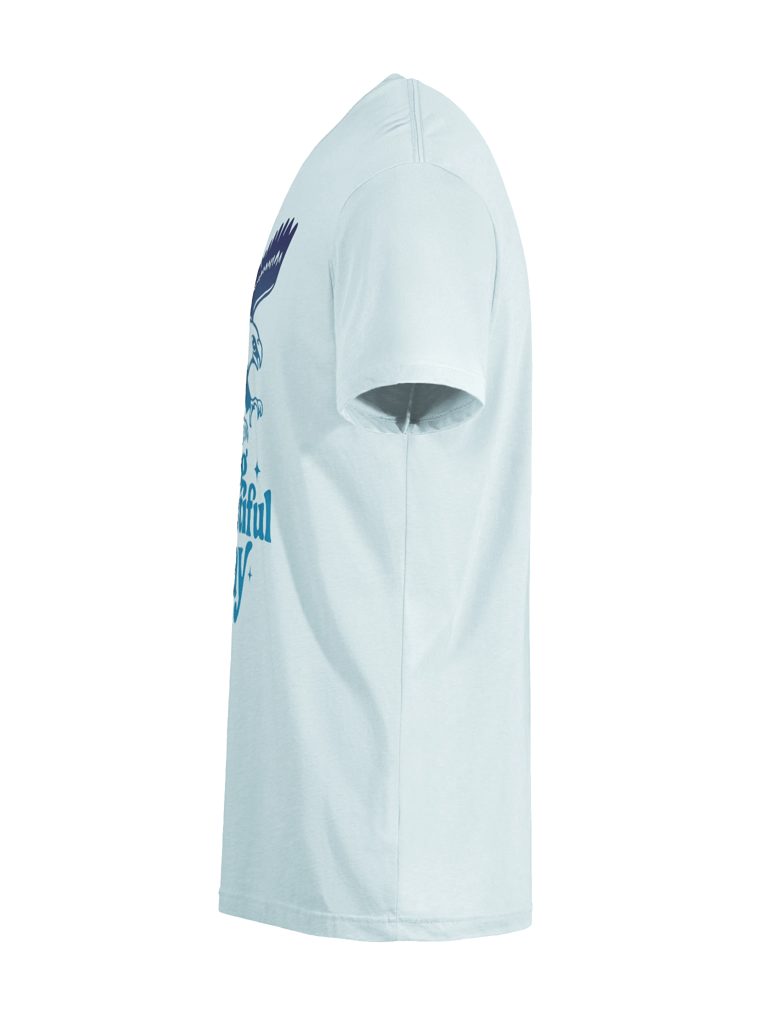 Soaring Big Beautiful Day Tee | Brand Next Level product image (12)