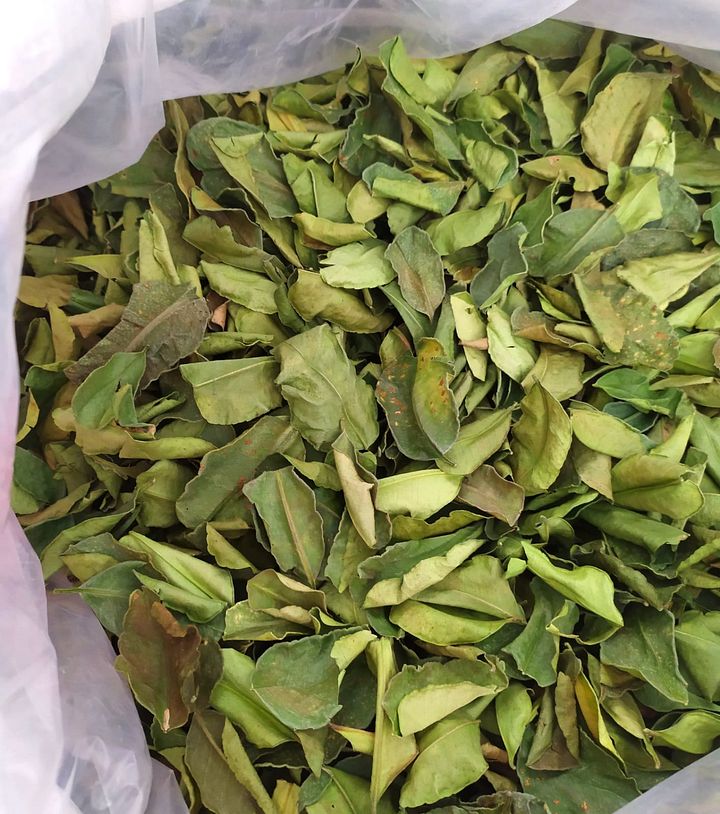 Daun jeruk purut oven / daun jeruk purut kering product image (1)