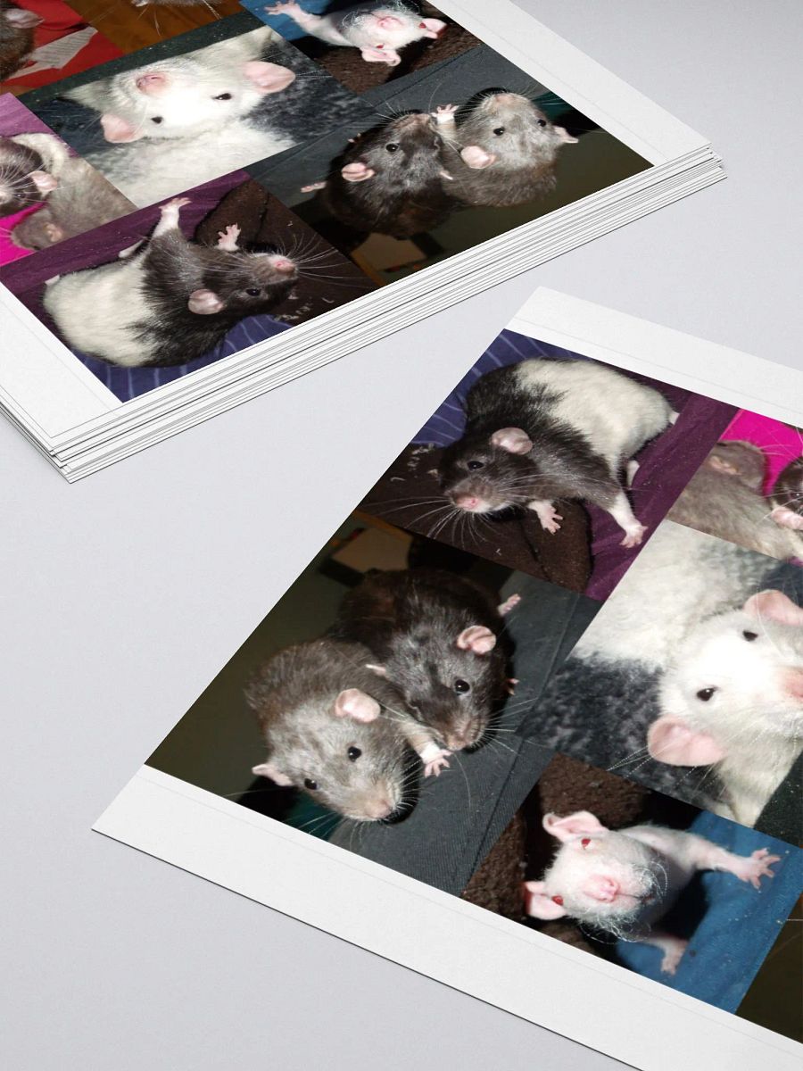Rescued Dumbo Rats sticker product image (4)