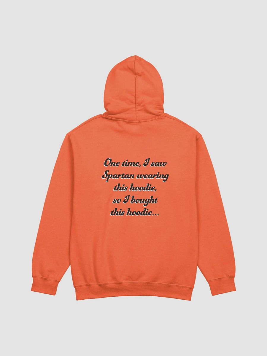 Article 13 - Example (Light) Hoodie product image (3)