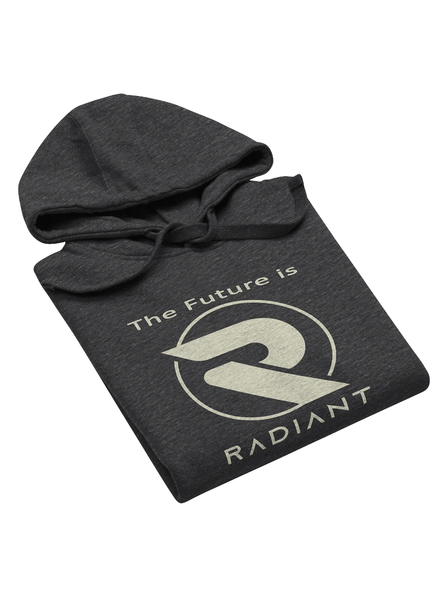 A Radiant Future Hoodie product image (5)