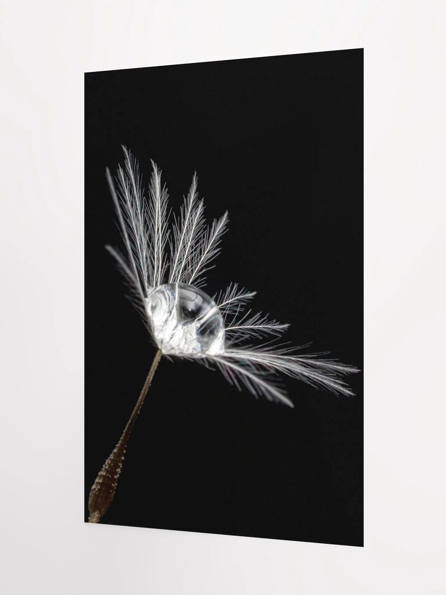 Delicate Strength Poster product image (7)