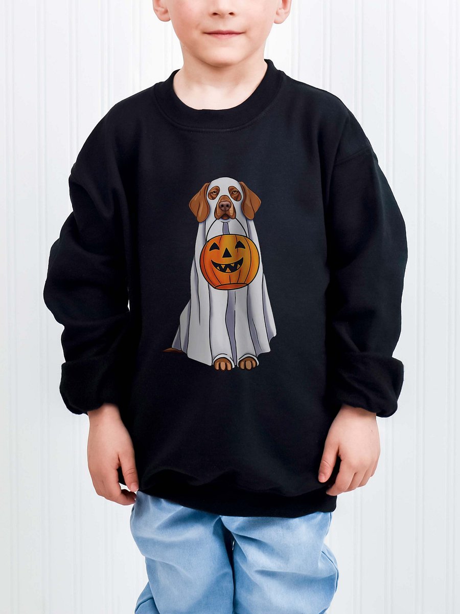 Halloween Vizsla Youth Sweatshirt product image (1)