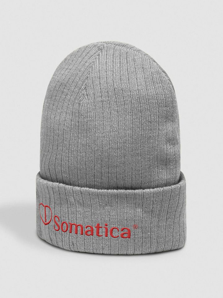 Somatica beanie product image (2)