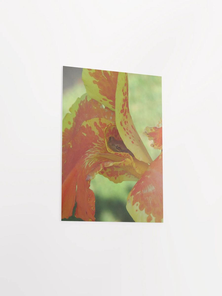 The Frog n' The Flower product image (29)