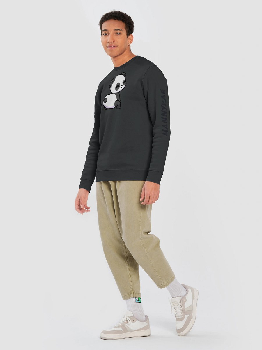 Panda Eco Sweater product image (27)
