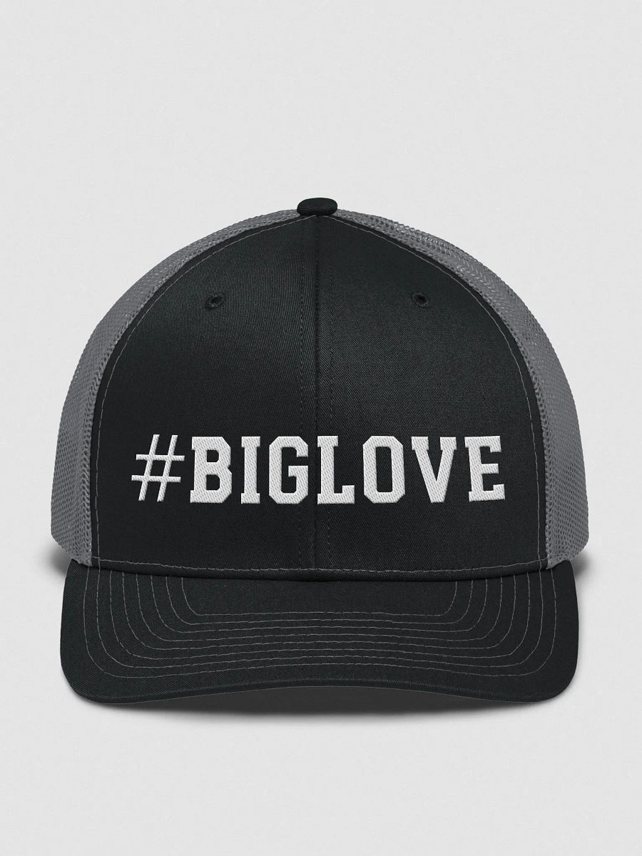 Big Love Trucker Hat product image (1)