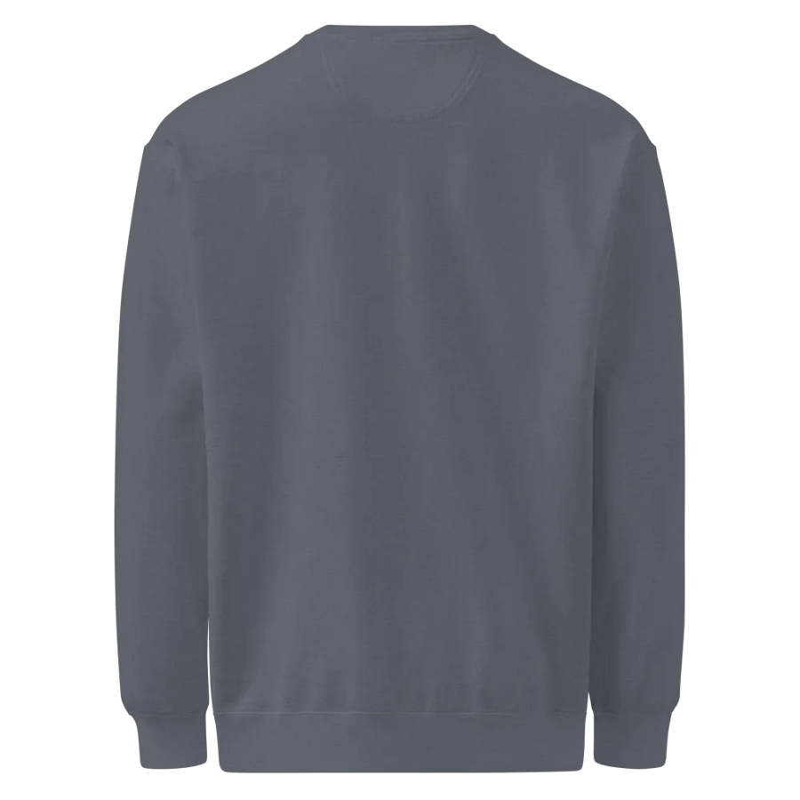 Vintage Comfort: Garment-Dyed Sweatshirt product image (2)