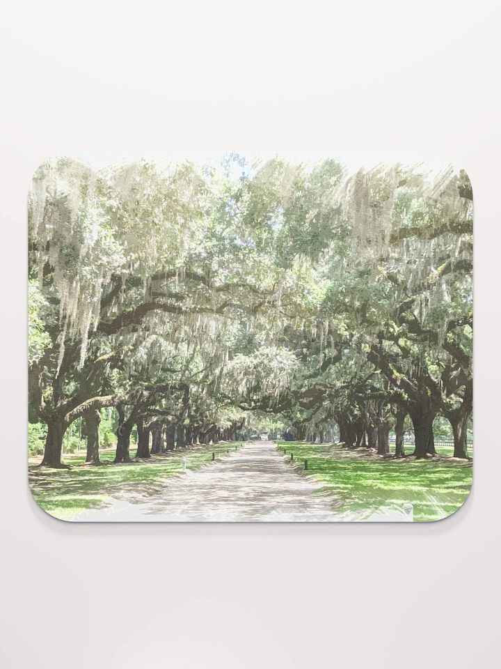 Avenue of the Oaks, Boone Hall Mousepad product image (2)