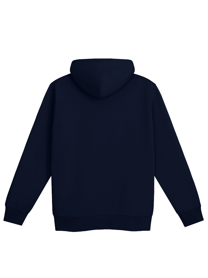 YAHUDAH = PRAISE Organic Hoodie product image (6)