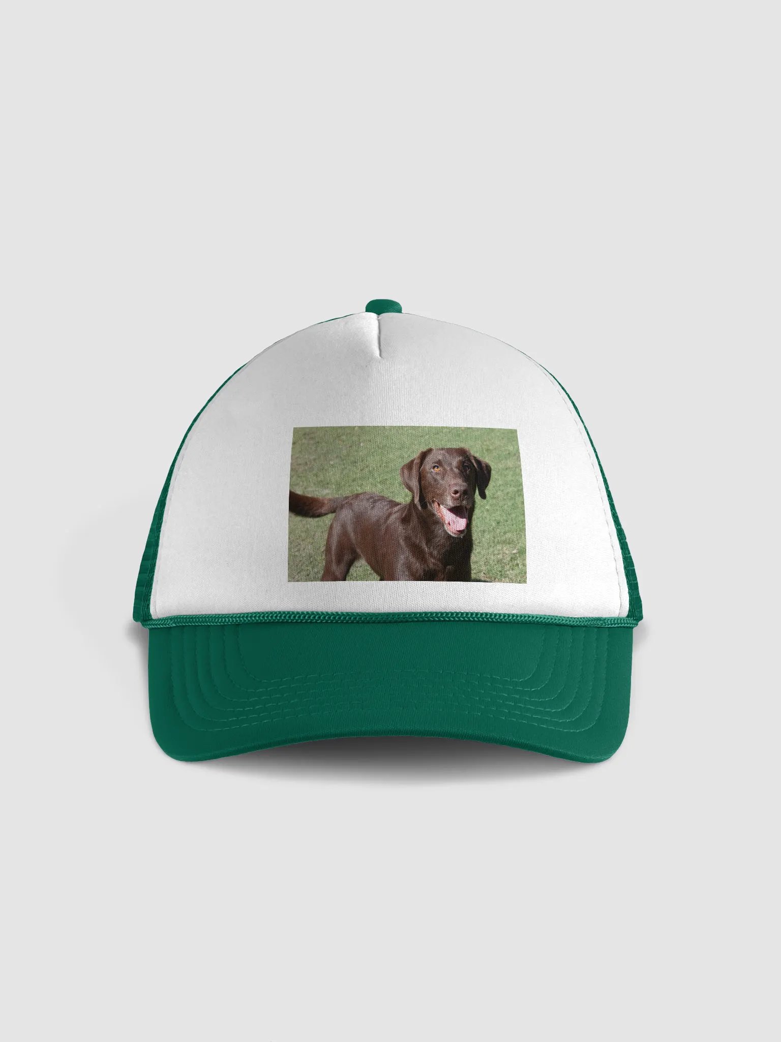 ranger product image (1)