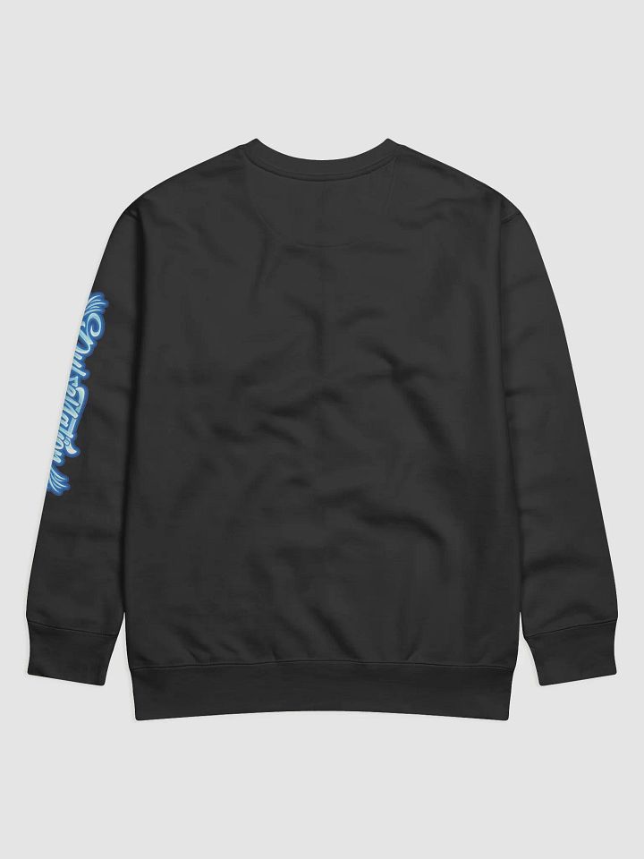 Pulse Nation Sweater product image (8)