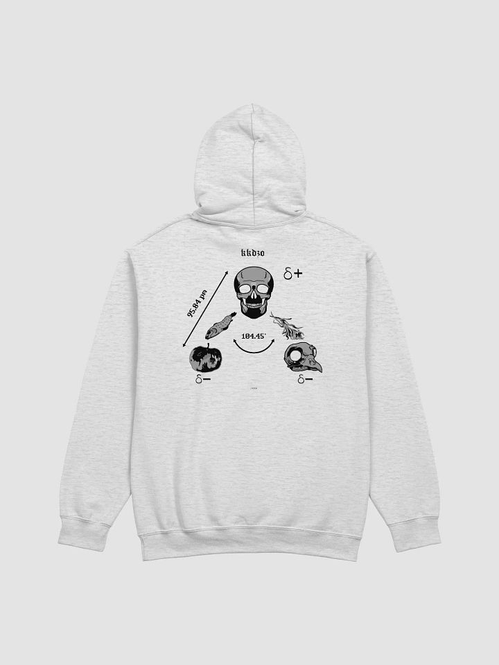 Saga Hydropolitique ( Hoodie Bright Edition ) product image (2)