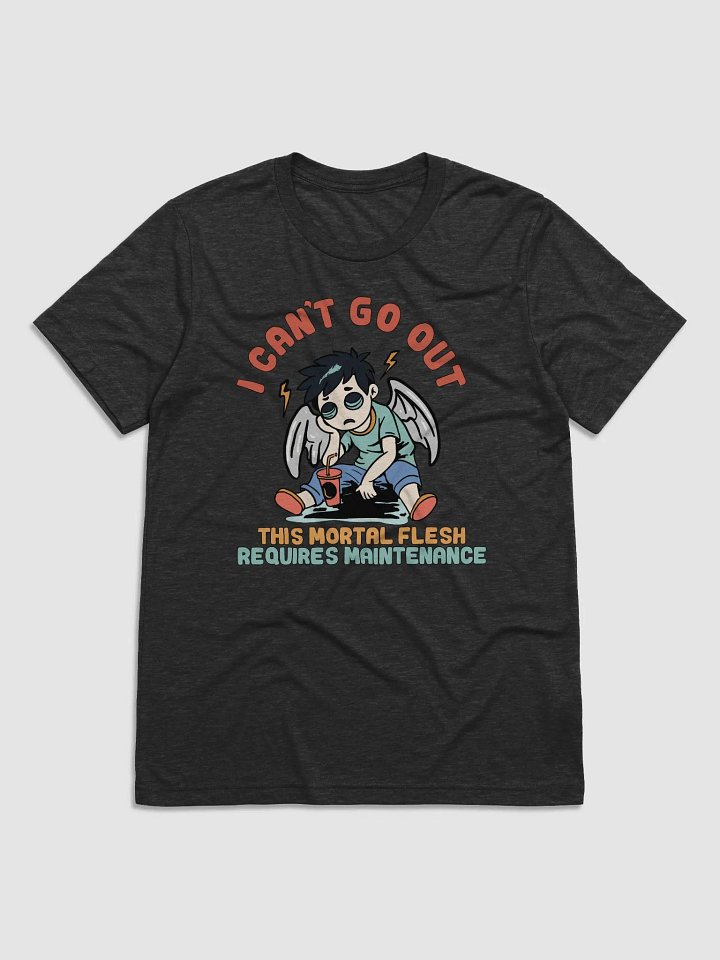 Tri Blend T-Shirt (I can't go out this mortal flesh requires maintenance) product image (1)