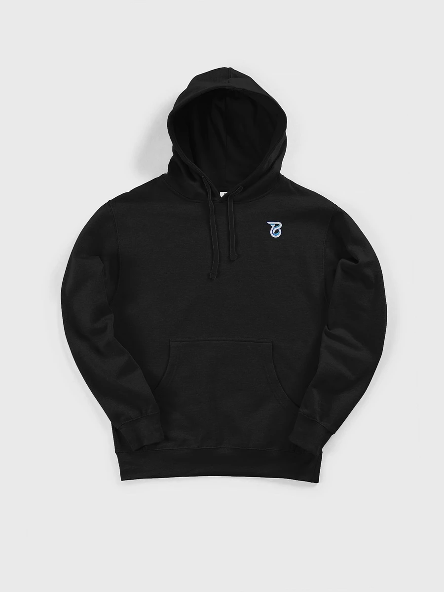 EMBROIDERED LOGO HOODIE product image (1)