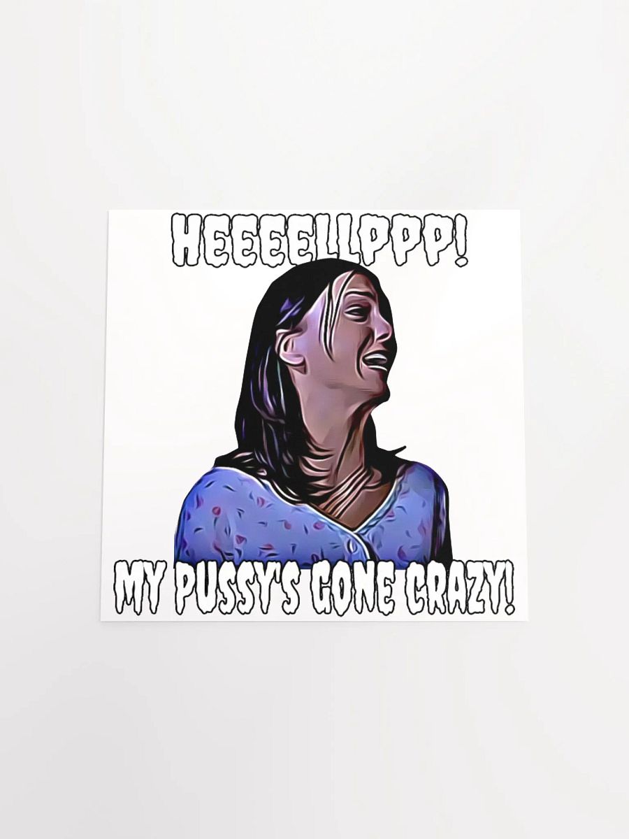 Help! my pussy's gone crazy! Enhanced Matte Paper Poster product image (4)