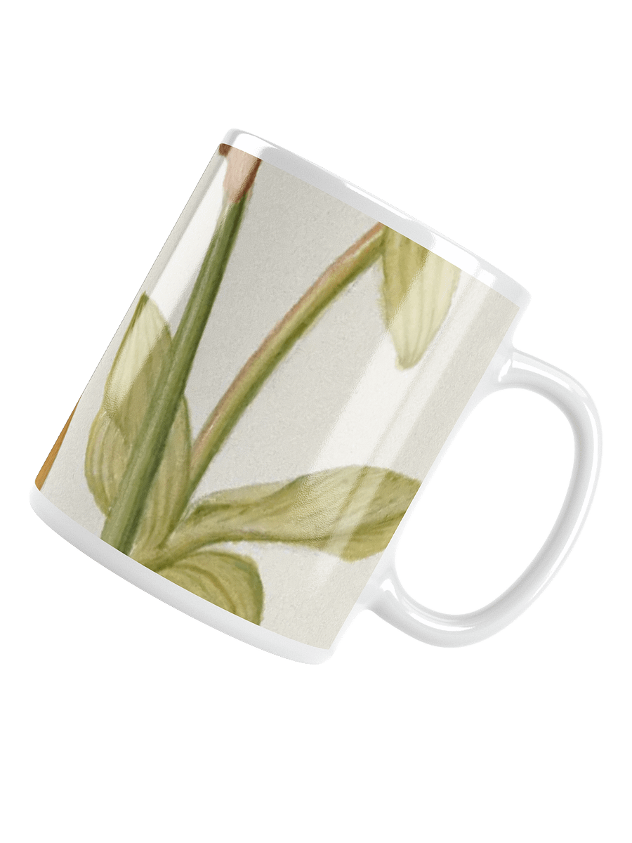Botanical Bliss Mug product image (4)