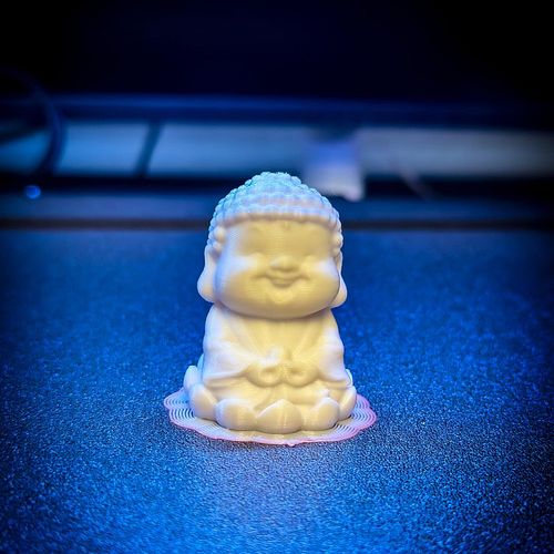First test print off of the @elegoo Neptune 3 Max they sent me a test printer. Like with the Neptune 2 it has the little Budd...
