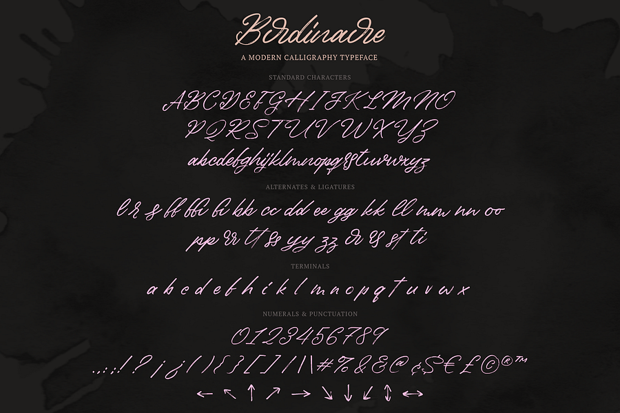 Birdinaire | A Modern Calligraphy Font product image (7)