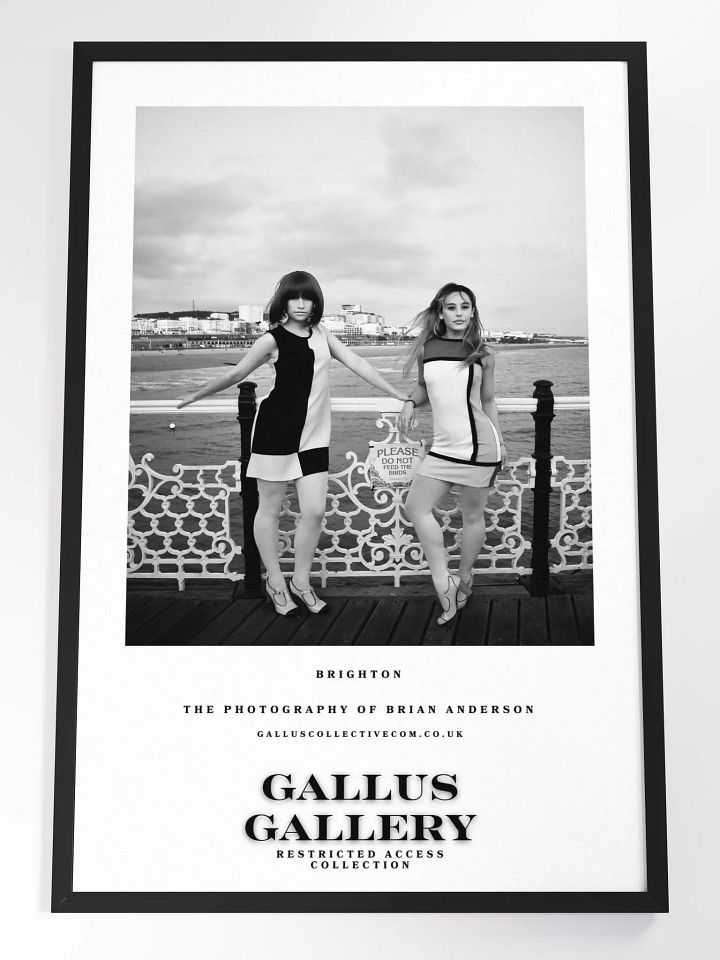 The Gallus Gallery - Brighton Don't Feed The Birds product image (1)
