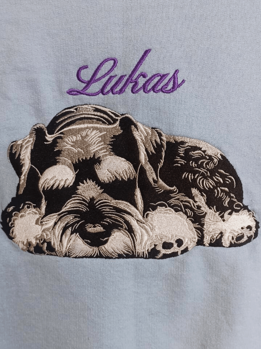 LUKAS💙 / EMBROIDERED SWEATSHIRT product image (3)