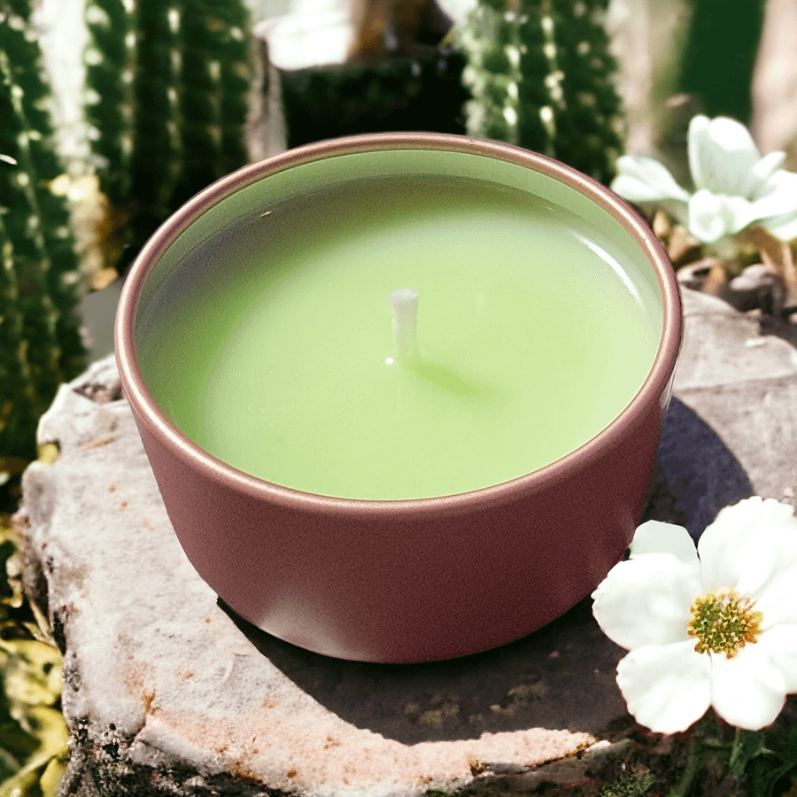 Cactus Jade Candle (1.5-7oz) product image (1)