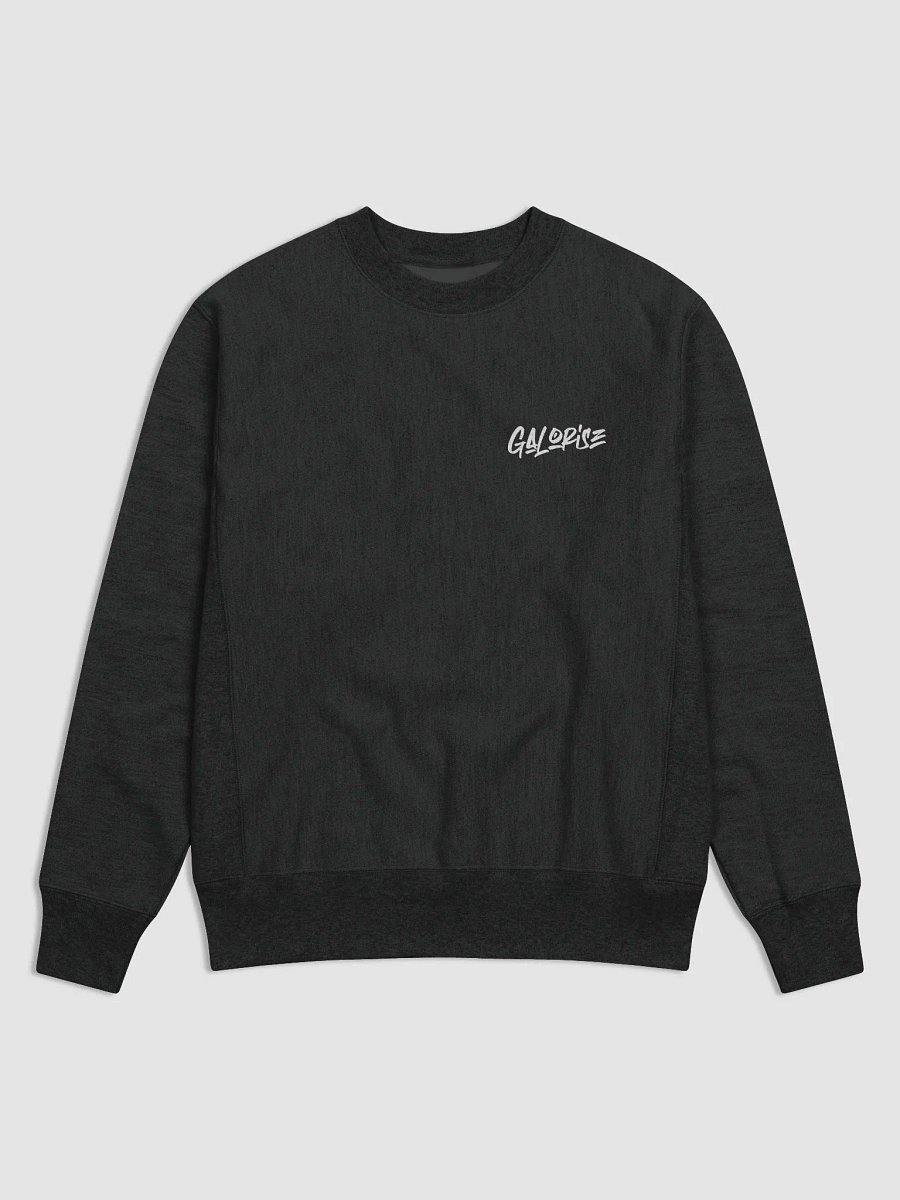 Galorise x Champion Long Sleeve Pullover product image (1)