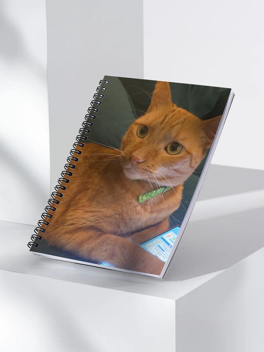 Cat Book product image (3)