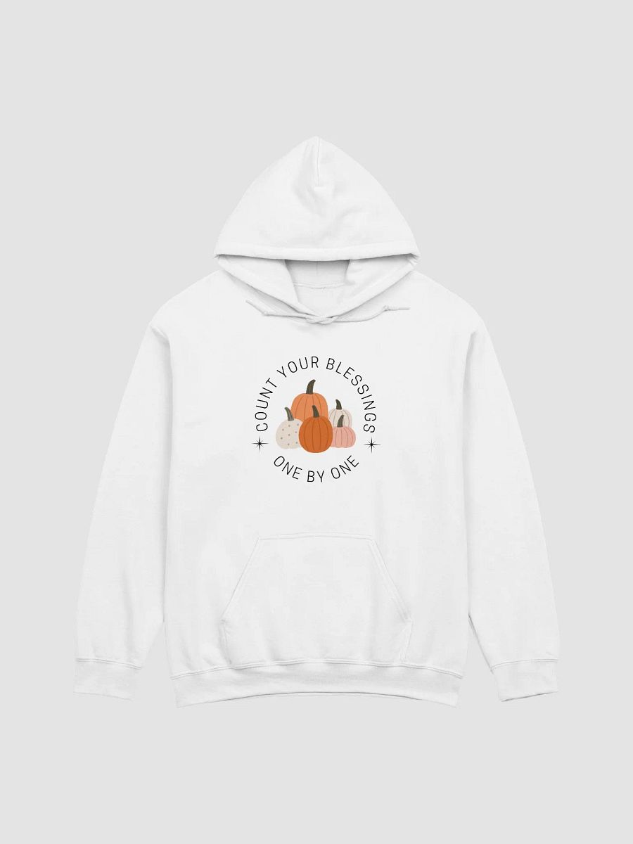 Count Your Blessings One by One Hoodie product image (2)