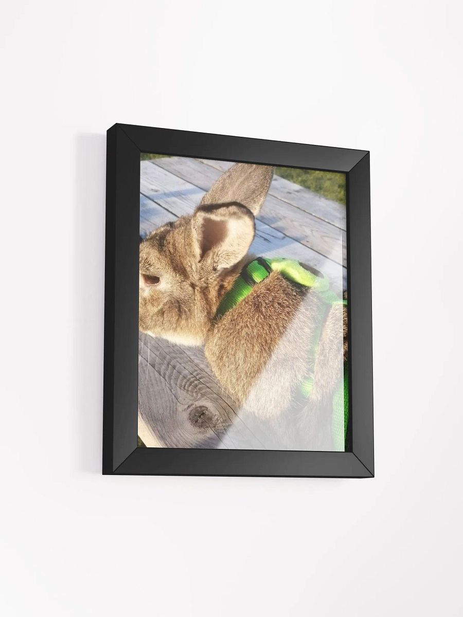 Poster Of My Bunny product image (97)