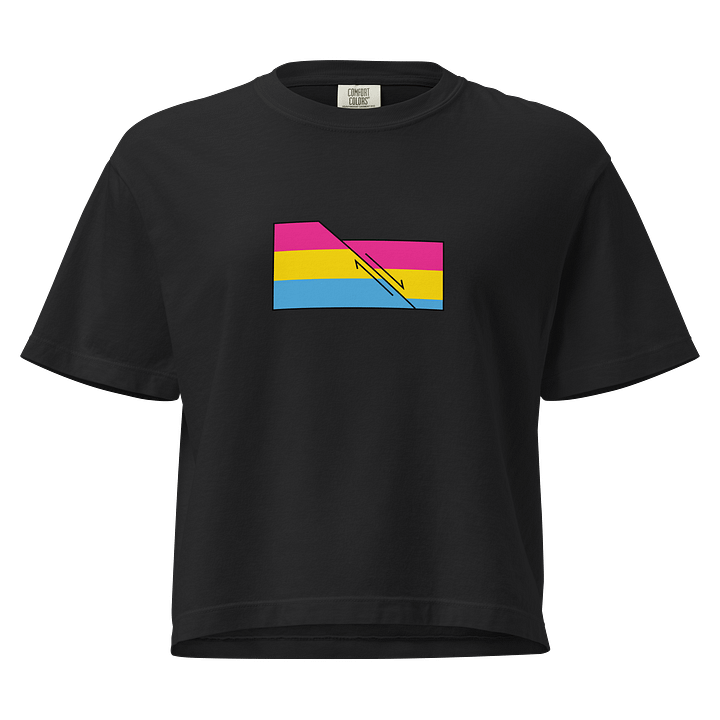 Faulted Pride Flags- Pan Shirt product image (1)