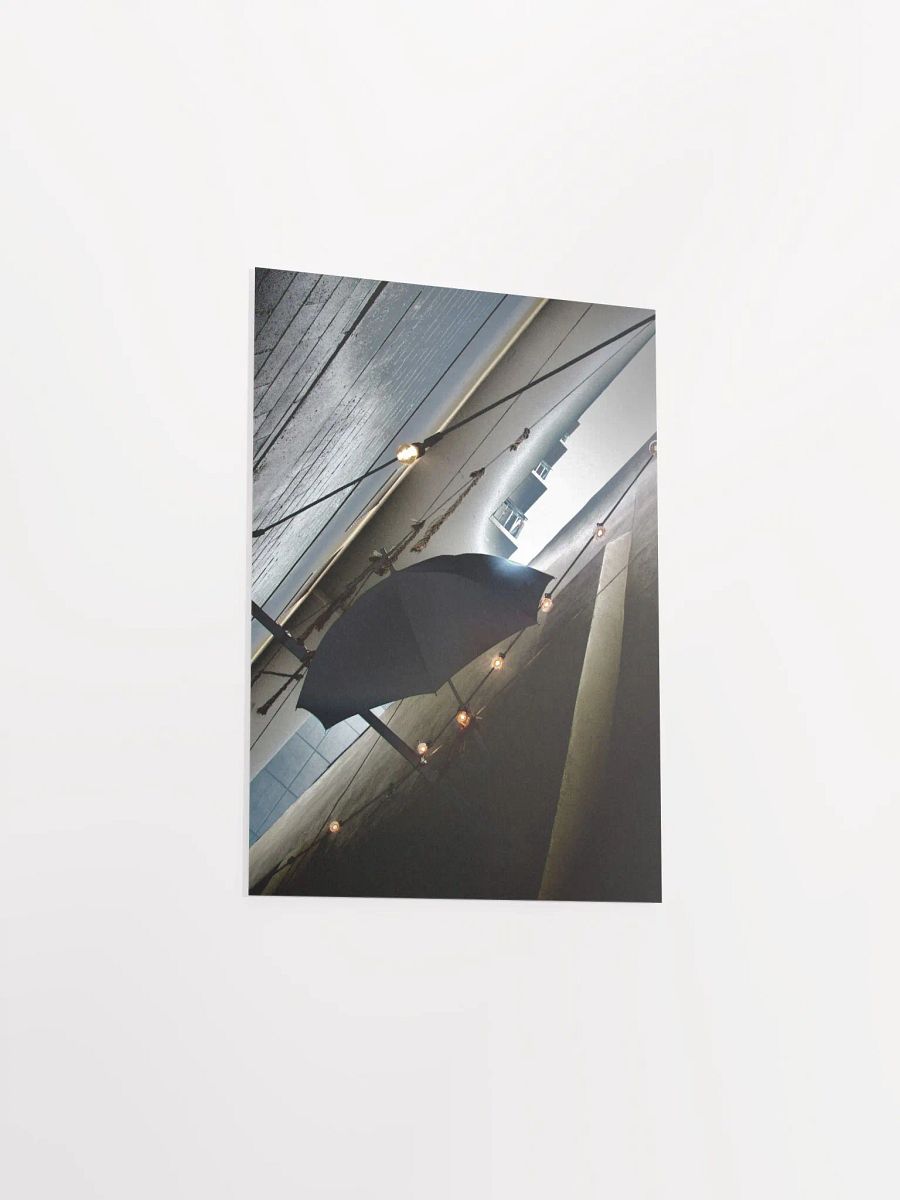 Hanging Umbrella 4 product image (35)