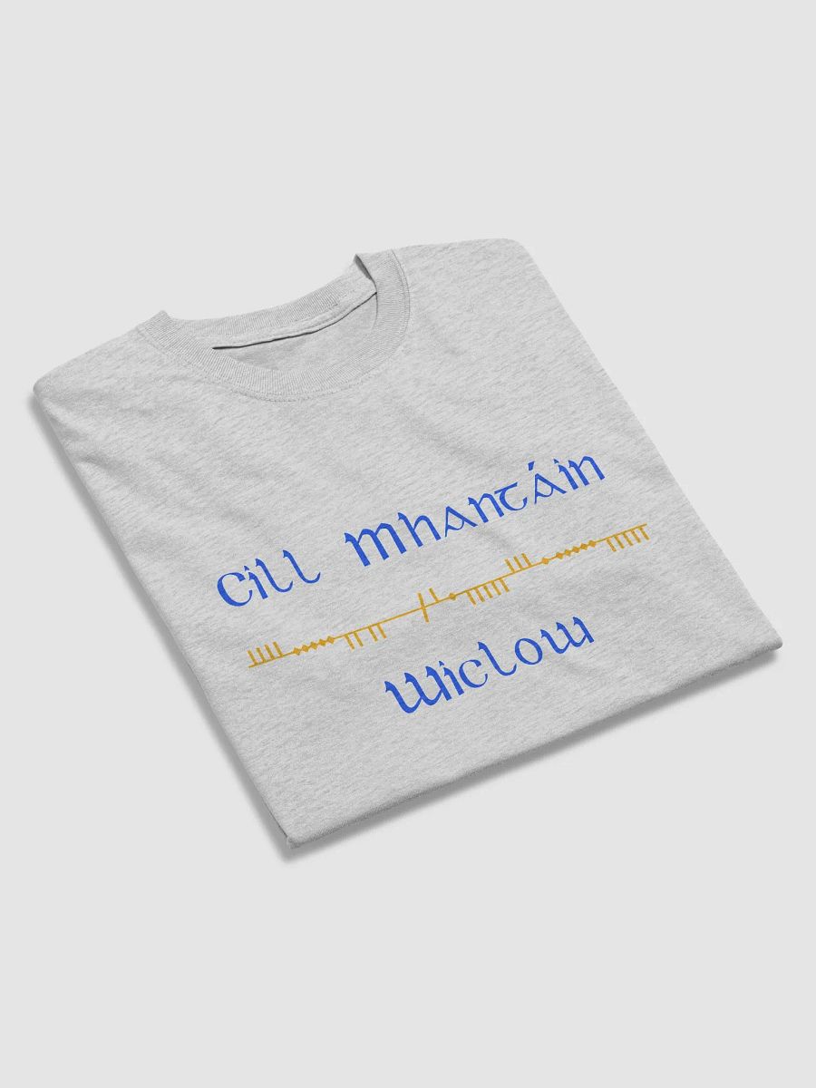 Wicklow/Cill Mhantáin Scholastic style Ogham printed T-shirt product image (63)