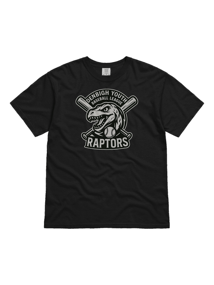 Raptors - Heavyweight T-shirt product image (7)