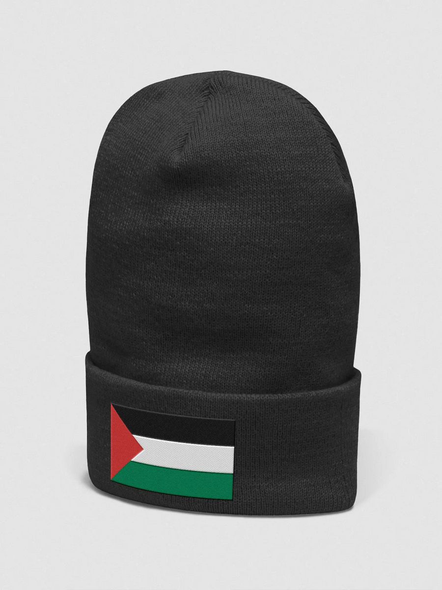 Palestine - Yupoong Cuffed Beanie product image (2)