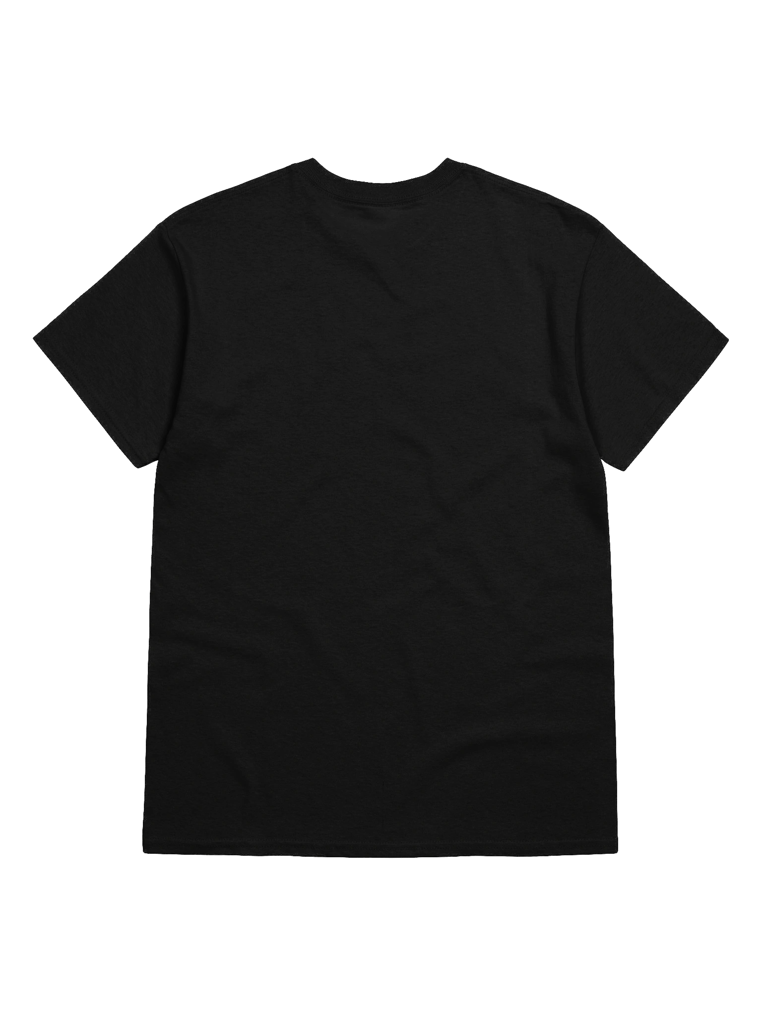 3 Layer Premium Heavyweight T-Shirt product image (6)