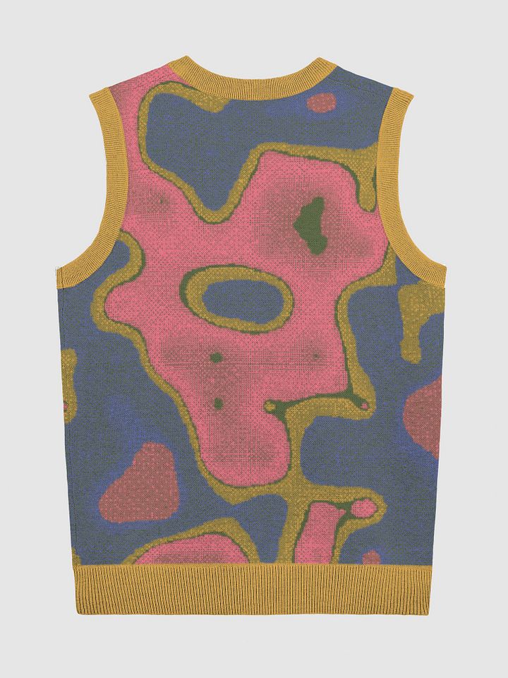 Heat Map Knit Vest product image (7)